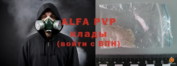 стаф Вязники