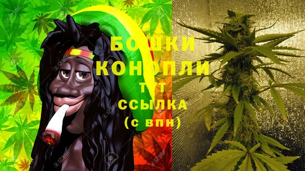 стаф Вязники