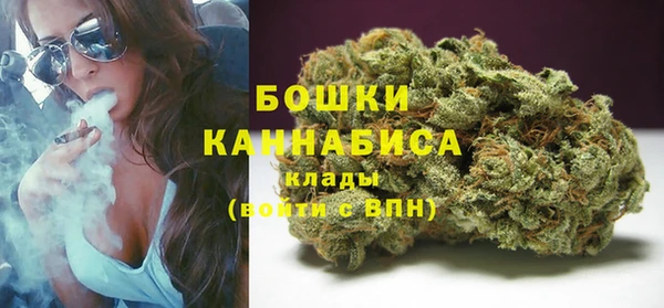стаф Вязники