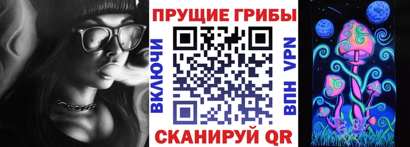 как найти   Калязин  Псилоцибиновые грибы GOLDEN TEACHER 